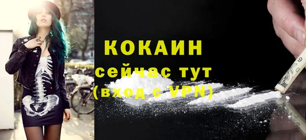 ГАЛЛЮЦИНОГЕННЫЕ ГРИБЫ Арсеньев