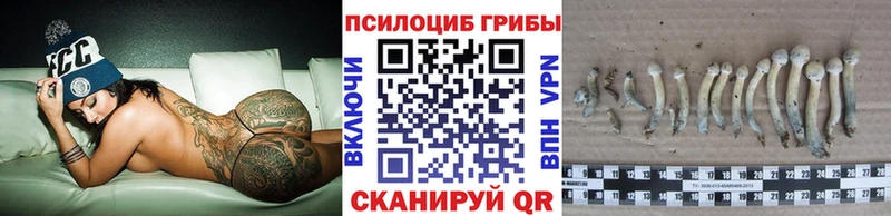 blacksprut зеркало  Верея  Псилоцибиновые грибы GOLDEN TEACHER 